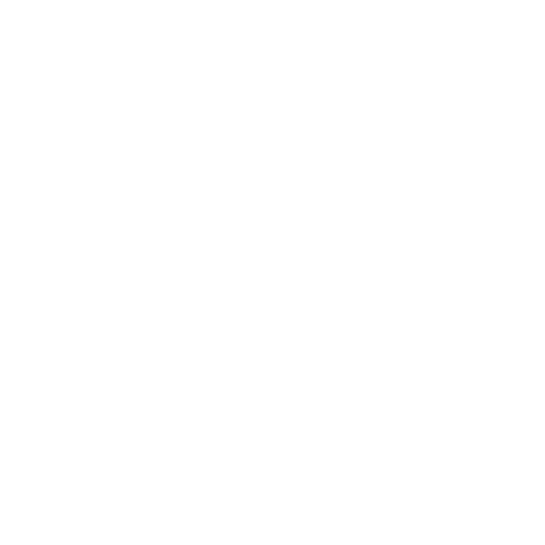 100-thieves